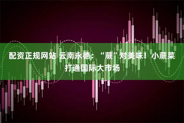 配资正规网站 云南永德：“蕨”对美味！小蕨菜打通国际大市场
